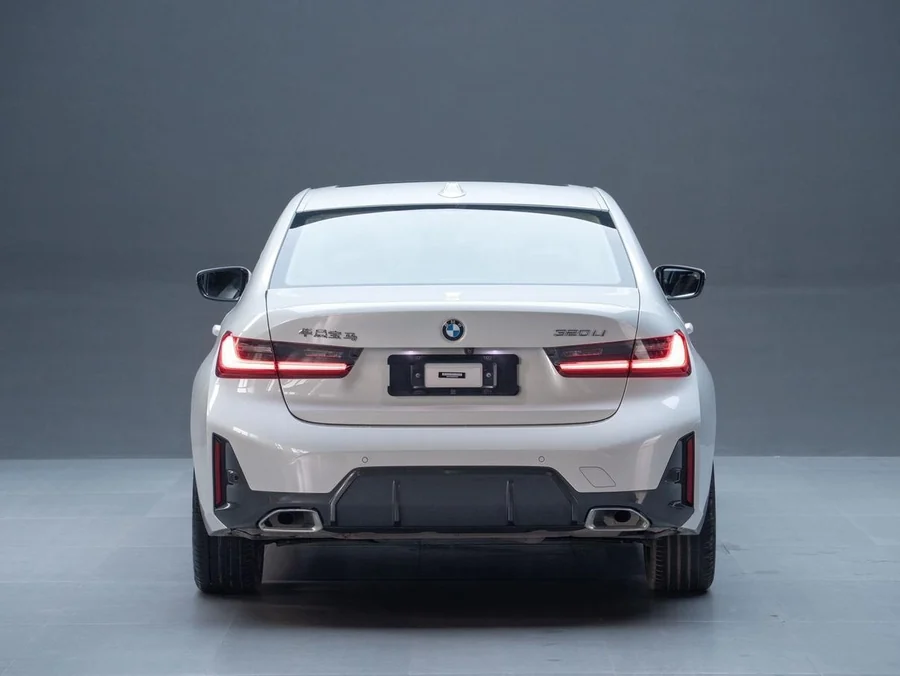 BMW 320Li (BMW 3 Series Long) — фото 4