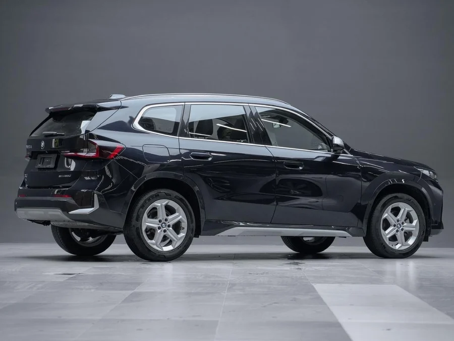 BMW X1 (BMW X1 sDrive 20Li) — фото 5