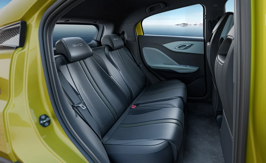 BYD Seagull (BYD Dolphin Mini) — фото 20