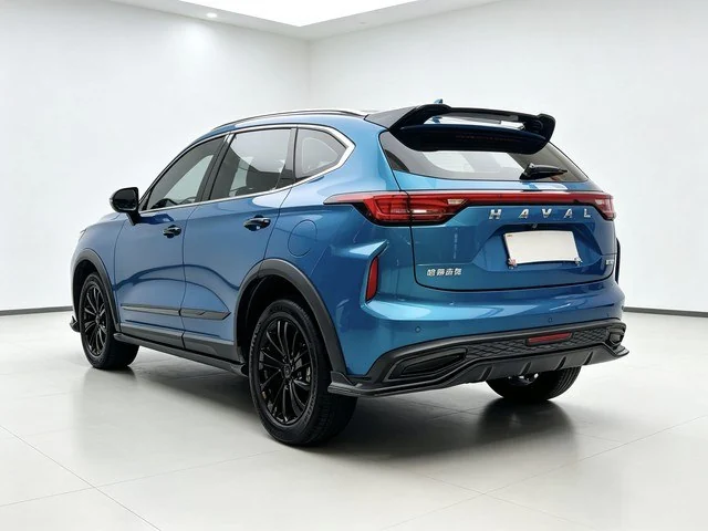 Haval Chitu (Хавейл Чита) — фото 4