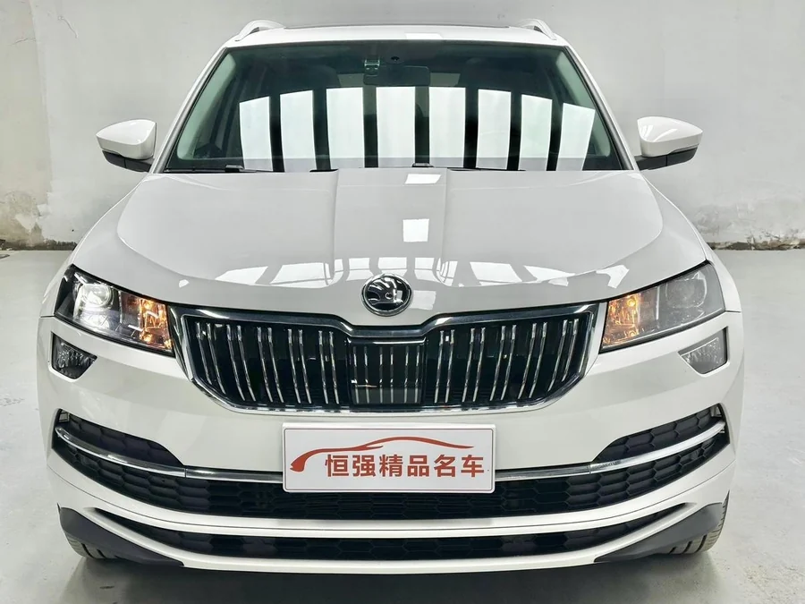 Škoda Karoq (Skoda Karoq) — фото 2