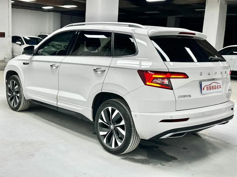 Škoda Karoq (Карок из Китая) — фото 4