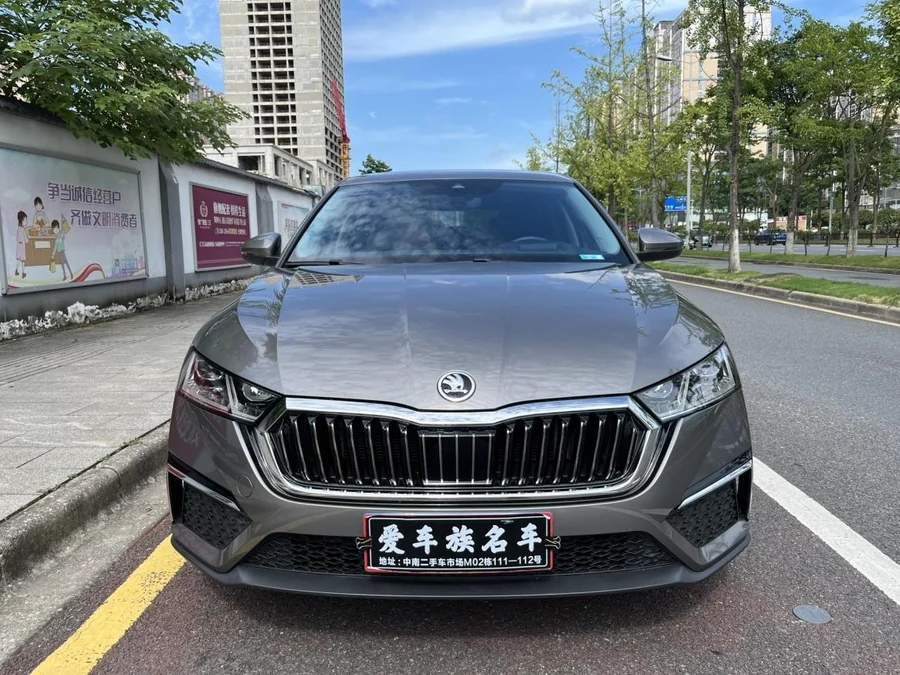 Škoda Octavia (Шкода Октавия Про) — фото 2